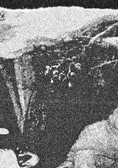 Folteraar : Cave Ritual - Folteraar